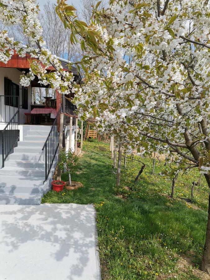Villa Marijana Вараждинске-Топлице Экстерьер фото