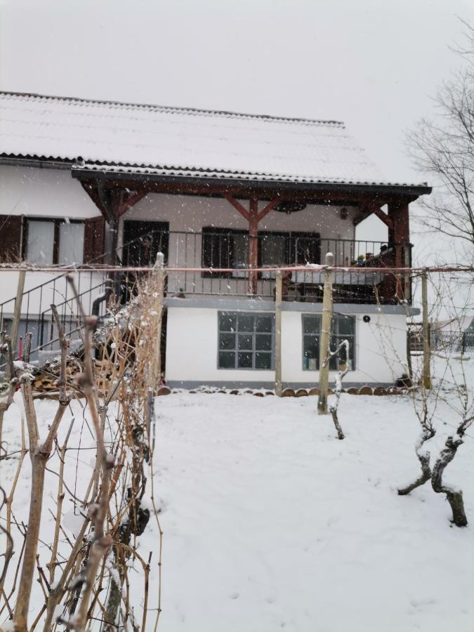 Villa Marijana Вараждинске-Топлице Экстерьер фото
